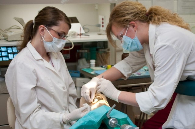 Dental Services